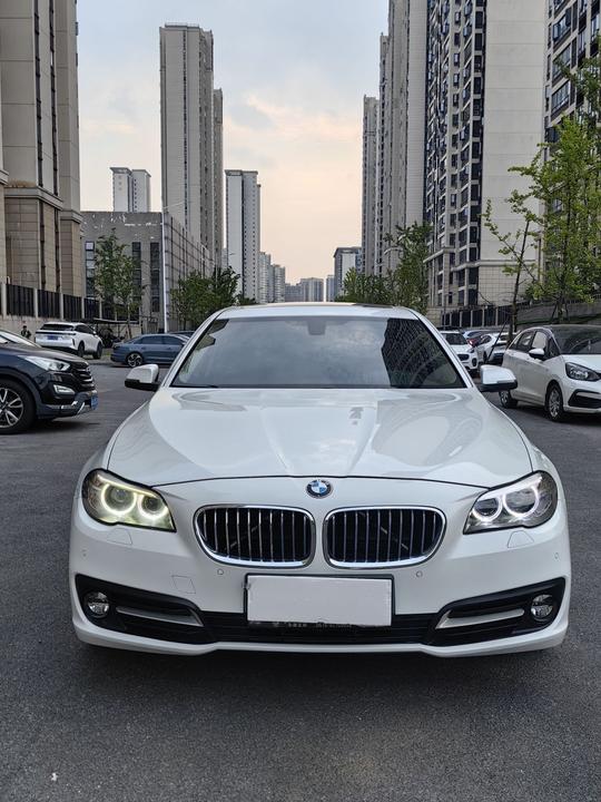 5 Series 2014 520Li photo 2