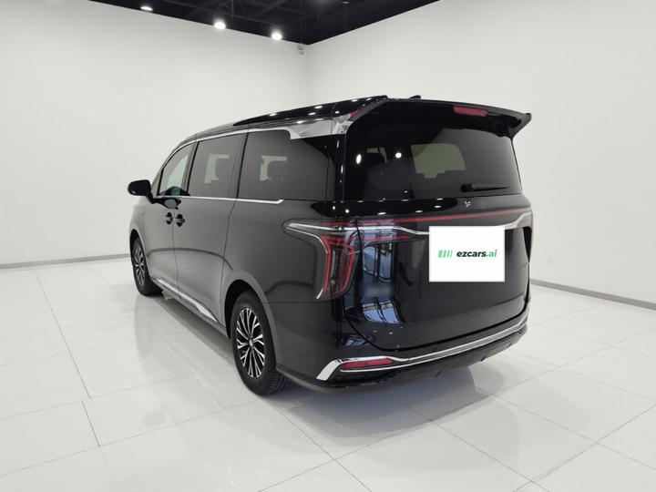 HQ9 PHEV 2024 2.0T AWD Business photo 4