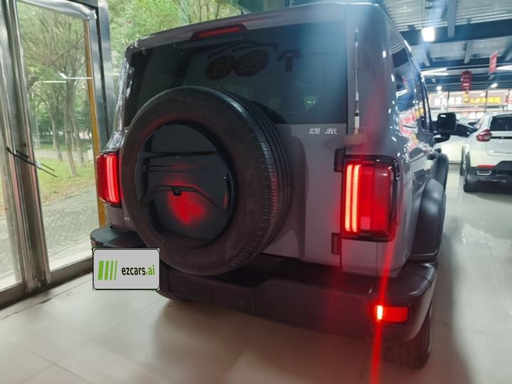300 2021 Off-road 2.0T Conqueror photo 3