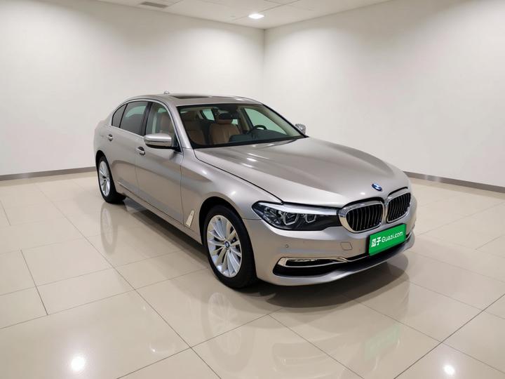 5 Series 2019 530Li Leading Luxury photo 3