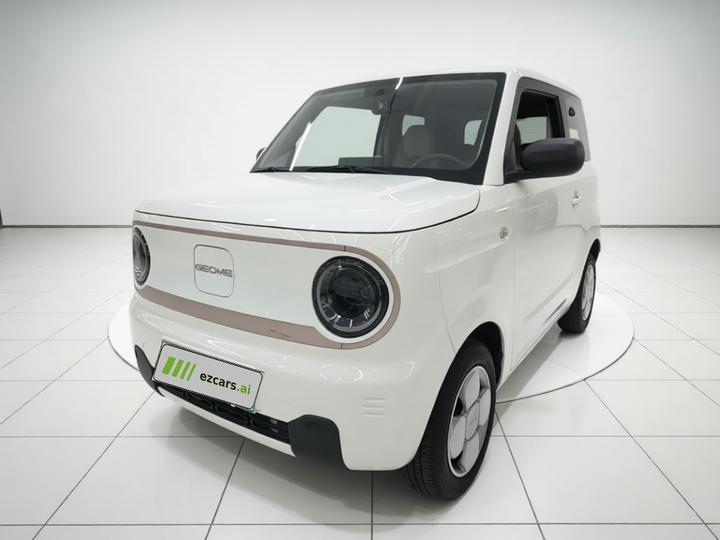 2023 Panda mini 120km