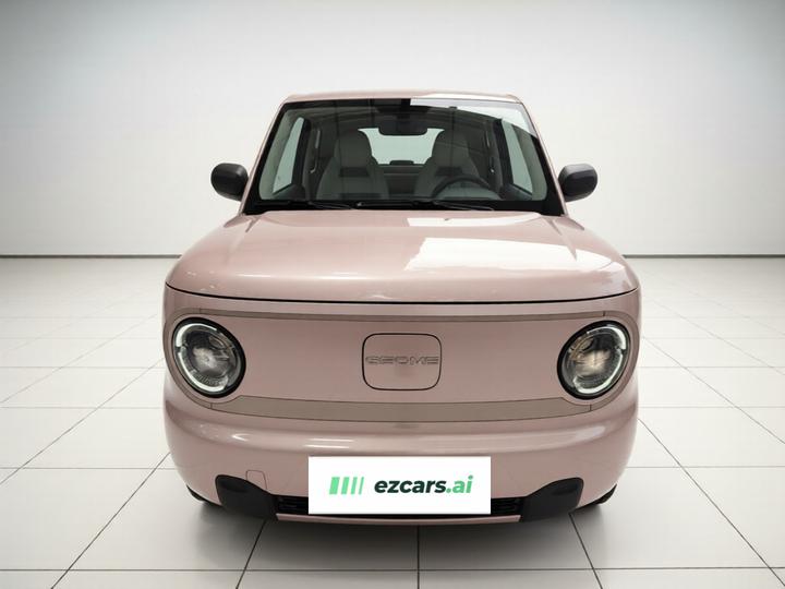 2024 Panda mini 200km Endurance Bear photo 2