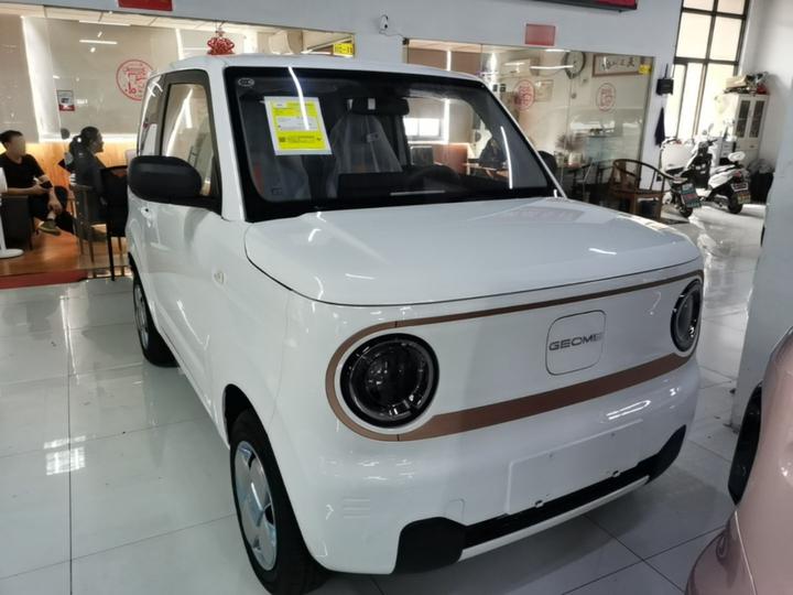 2024 Panda mini 200km Endurance Bear photo 2