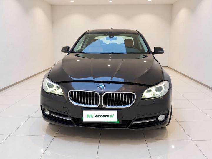 5 Series 2014 525Li Leading photo 2