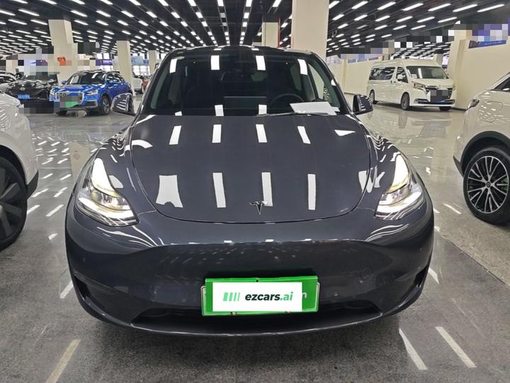 Model Y 2021 Long Range AWD photo 2