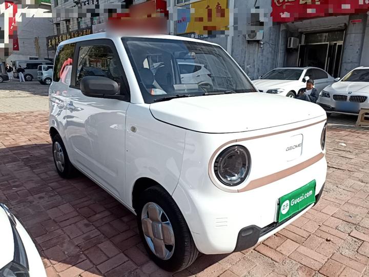 2023 Panda mini 200km Endurance Bear photo 3