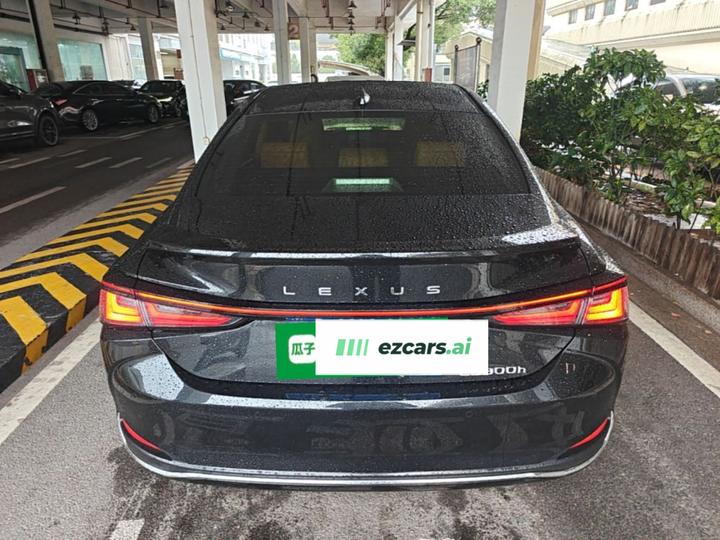 ES 2025 300h Executive photo 5