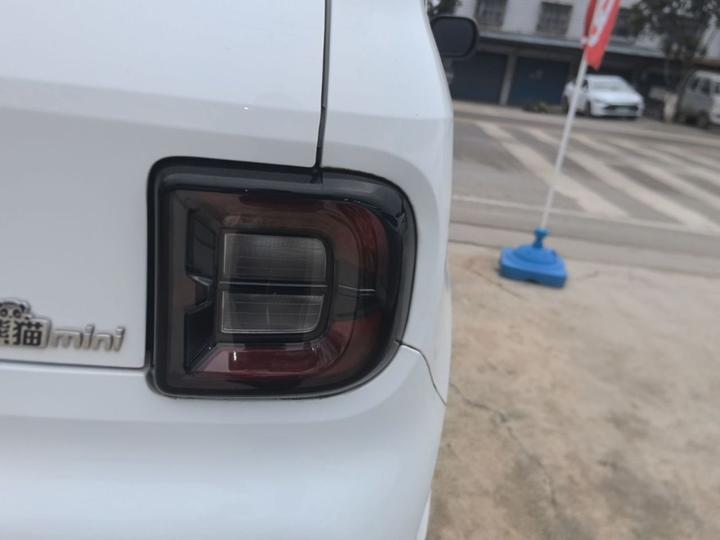 2023 Panda mini 200km Endurance Bear photo 7