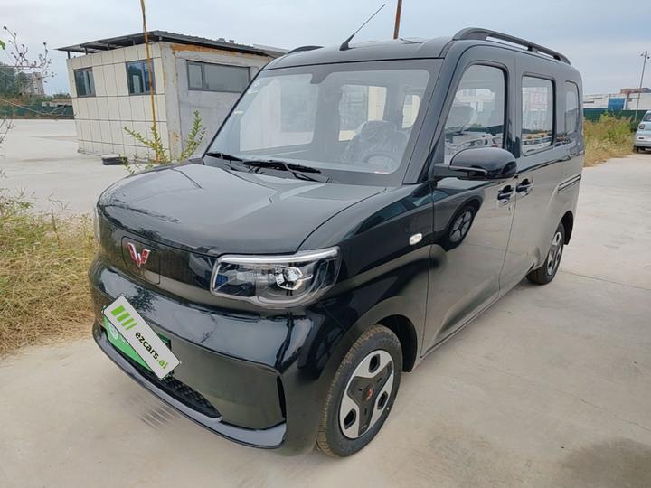 Wuling Zhiguang EV 2025 305km Progressive