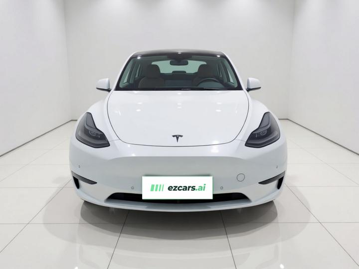 Model Y 2021 Long Range AWD photo 2