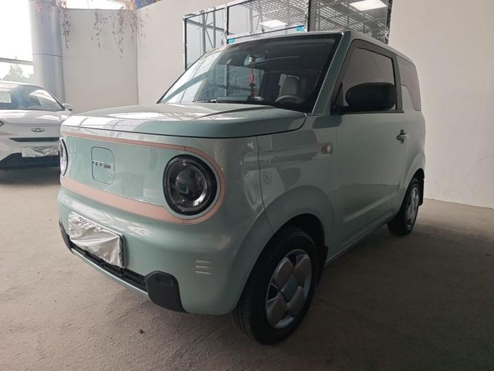 2023 Panda mini 200km Endurance Bear