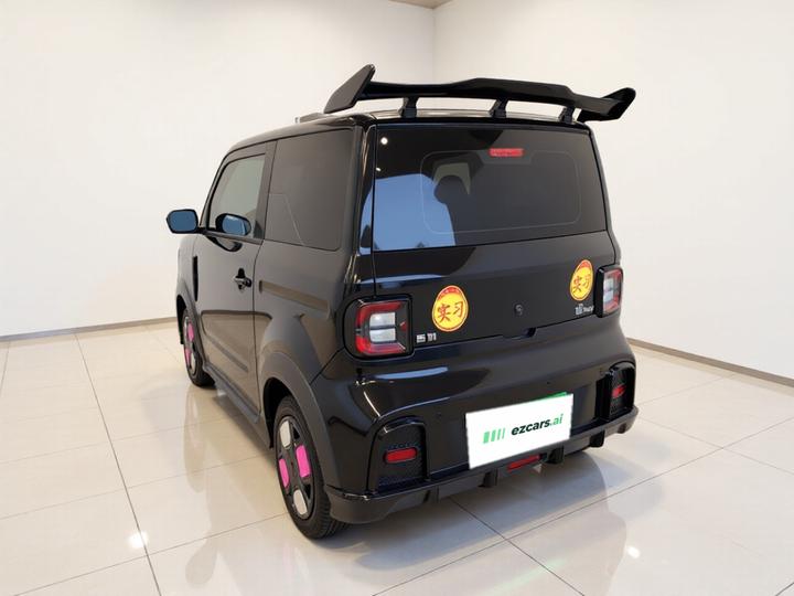 2024 200km Panda photo 4