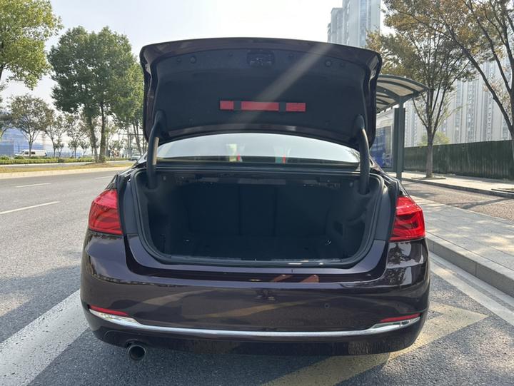 3 Series 2016 320Li Progressive photo 8