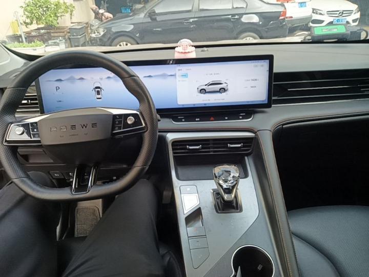 RX5 EV 2023 eRX5 photo 5