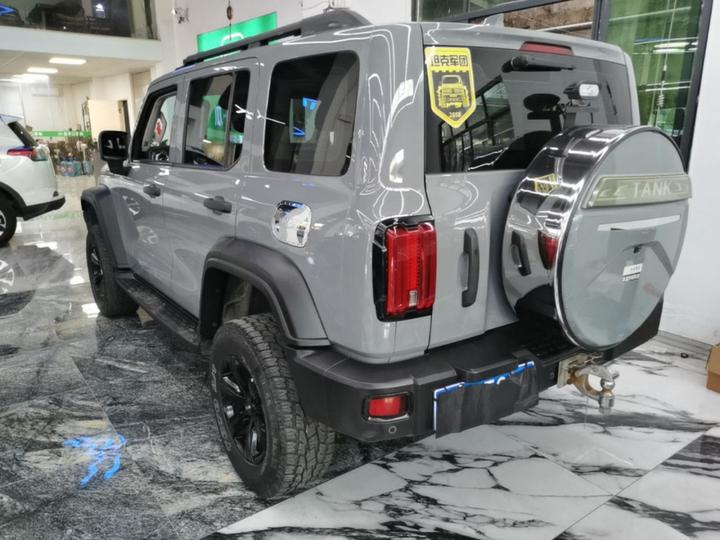 300 2021 Off-road 2.0T Conqueror photo 4
