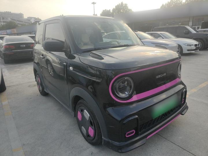 2024 200km Panda photo 3