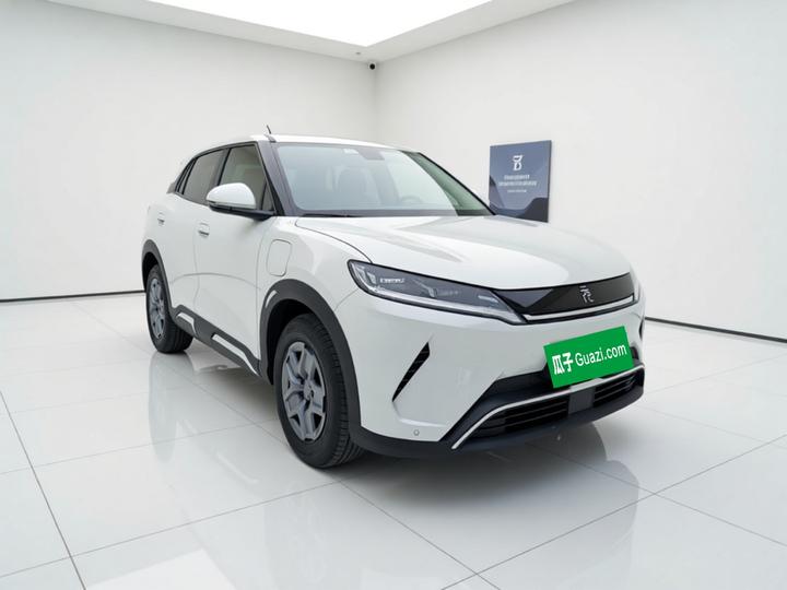 Yuan UP 2025 301KM Pilot photo 3