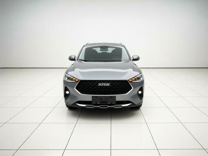 F7x 2019 2.0T RWD photo 2