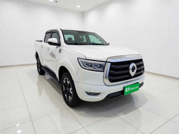 2021 2.0T AT Petrol AWD Comfort GW4C20B photo 3
