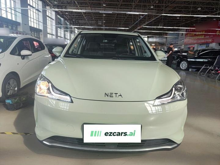 Neta V 2022 300 Lite LFP photo 2