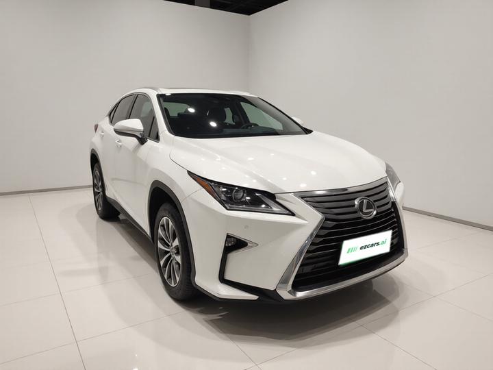 RX 2016 300 RWD Elite China V photo 3