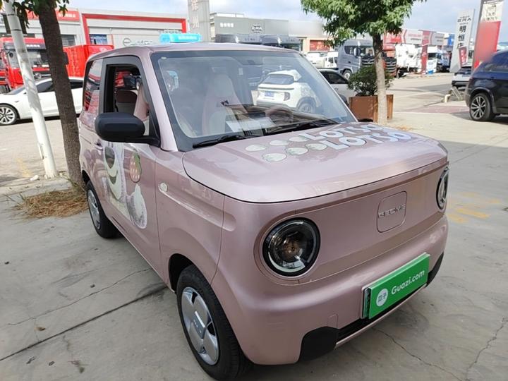 2024 Panda mini 200km Endurance Bear photo 3