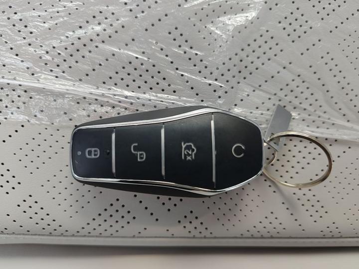 Yuan UP 2025 ADAS 401KM photo 8