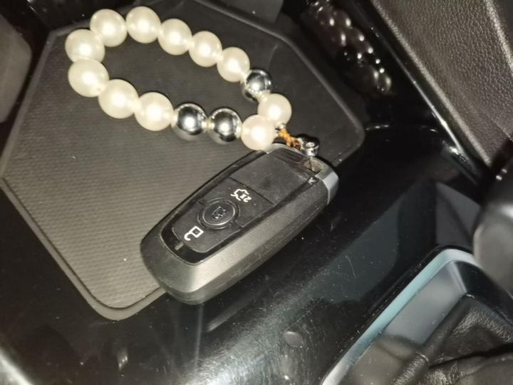 Escort 2021 1.5L AT photo 8