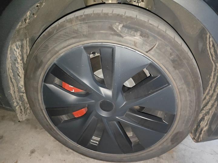 Model Y 2023 RWD photo 8