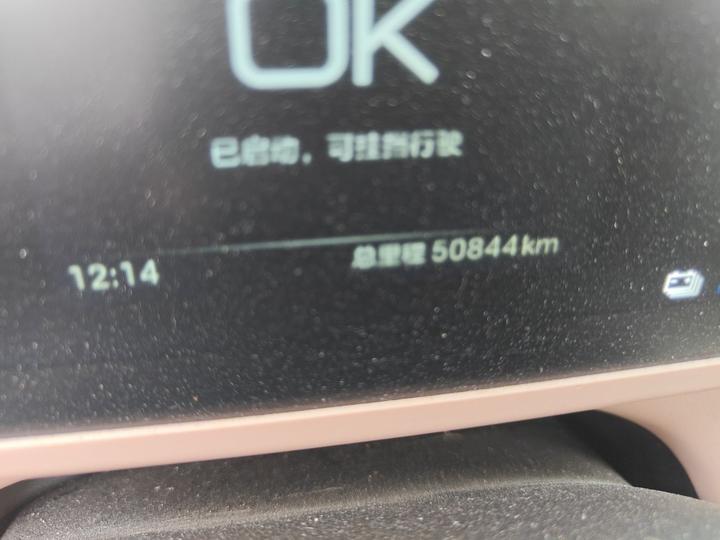 Seagull 2024 Honor 305km photo 2