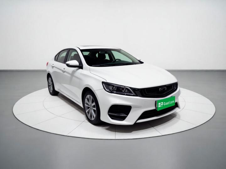 Binrui 2020 200T DCT Comfort photo 3