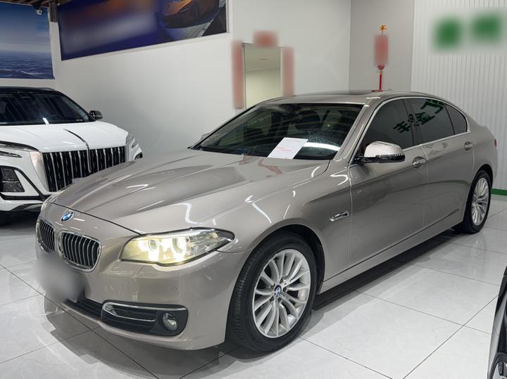5 Series 2017 525Li Luxury Design Package photo 2