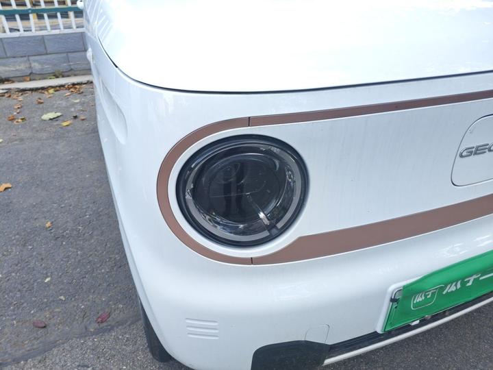 2024 Panda mini 200km Endurance Bear photo 7