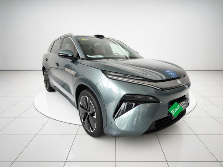Tang L 2025 DM 175KM photo 3