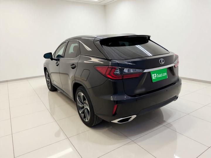 RX 2016 300 AWD Elegant China V photo 4