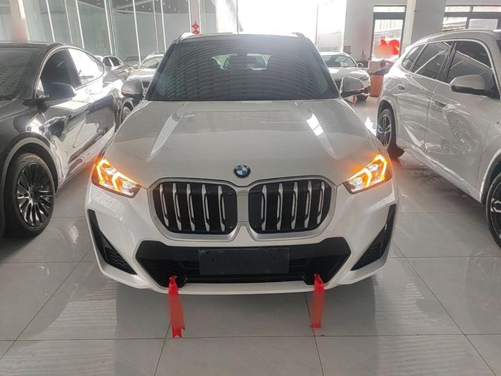 X1 2023 sDrive25Li M Sport Package photo 2