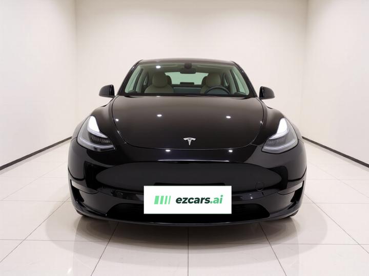 Model Y 2022 Performance AWD photo 2