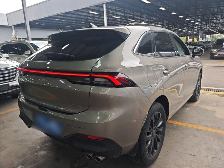 Forthing T5 EVO 2021 1.5TD DCT photo 6