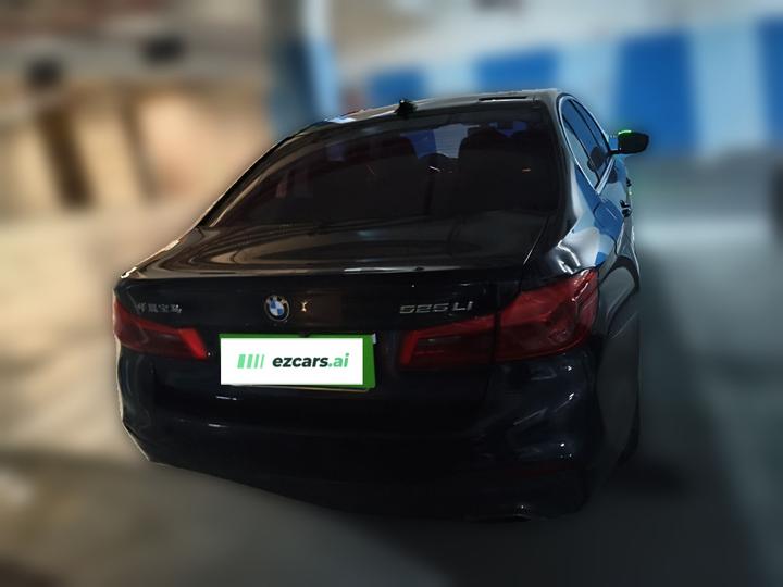 5 Series 2020 525Li M Sport Package photo 5