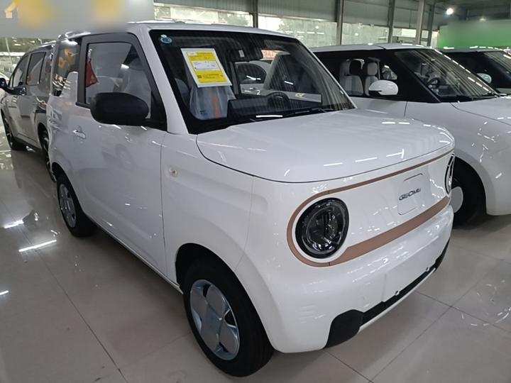 2024 Panda mini 200km Endurance Bear photo 3