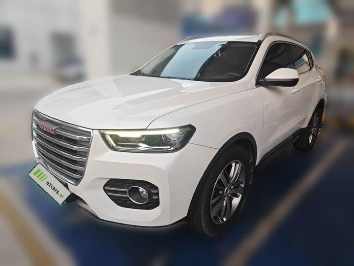 H6 2017 Red Label 2.0T AT RWD
