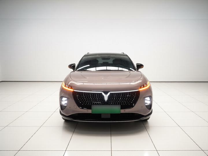 Voyah 2024 AWD photo 2