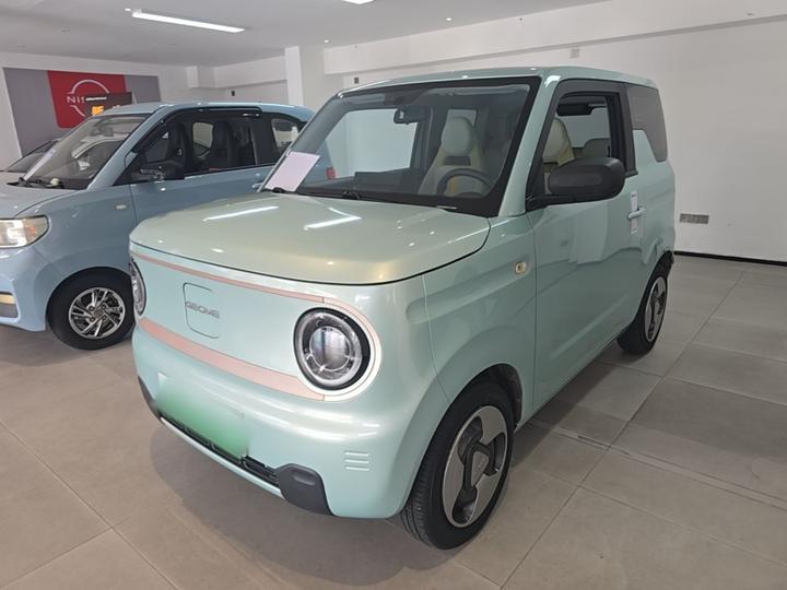 2023 Panda mini