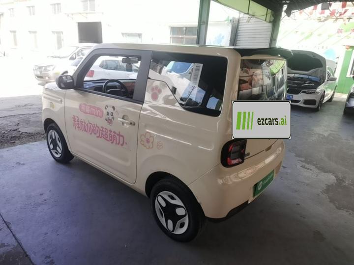 2025 Panda mini 210km Yuan photo 4