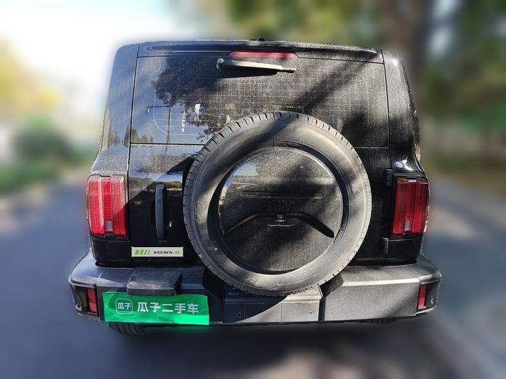300 2023 Off-road 2.0T Conqueror photo 5
