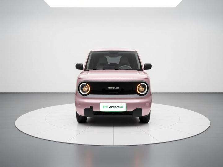 2024 Panda mini 200km Endurance Bear photo 2