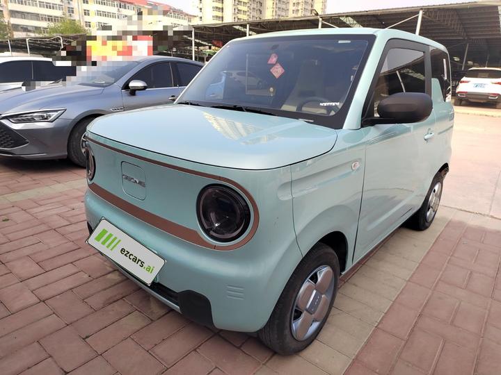 2024 Panda mini 200km Endurance Bear