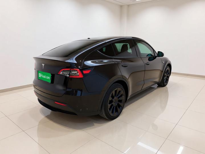 Model Y 2021 Standard Range RWD photo 6