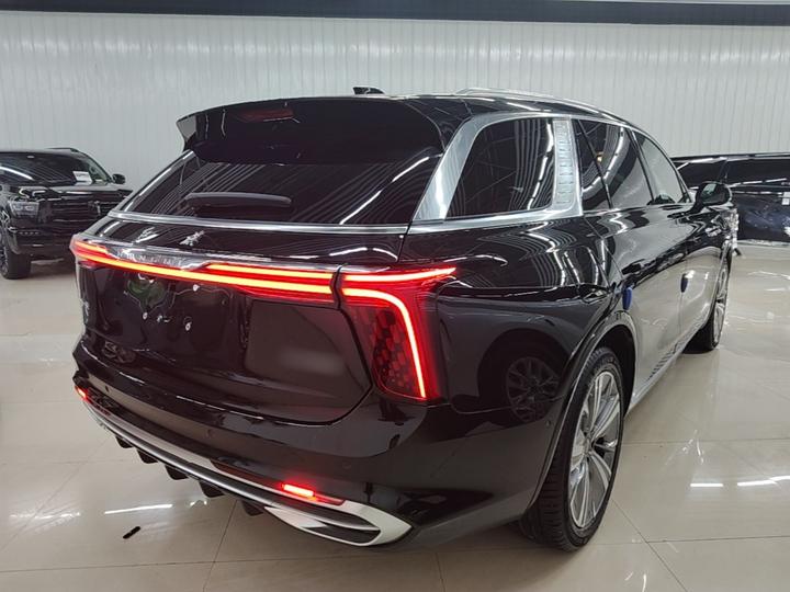 E-HS9 2022 690km 6-Seater photo 6