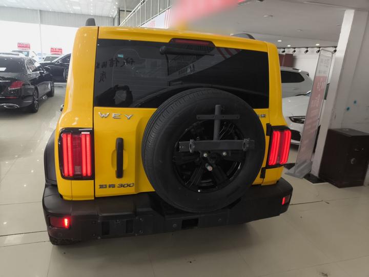 300 2021 Off-road 2.0T photo 3